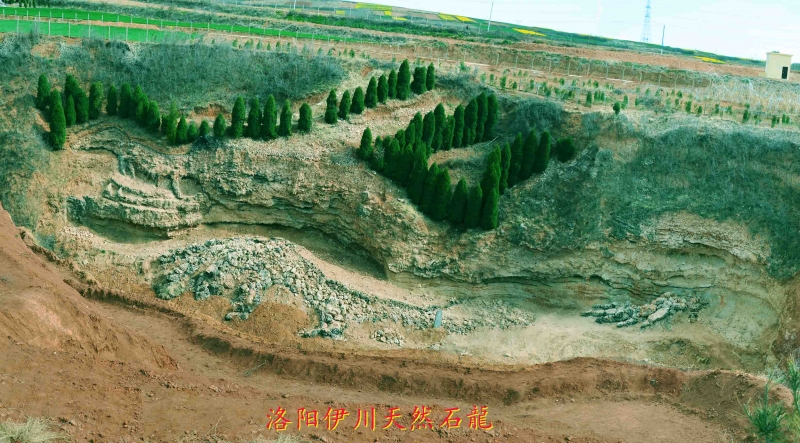 天然石龙全景“炎黄子孙、龙的传人”的源头附图 伊川天然石龙.jpg