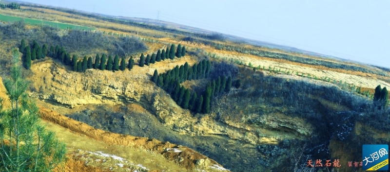 2019年天然石龍.jpg