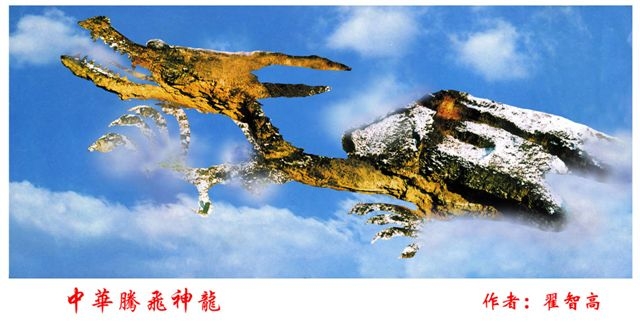 中华腾飞神龙 1拷贝.jpg