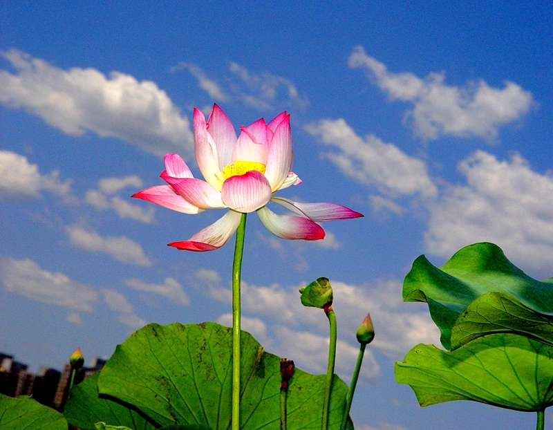 DSC00056 副本_副本.jpg