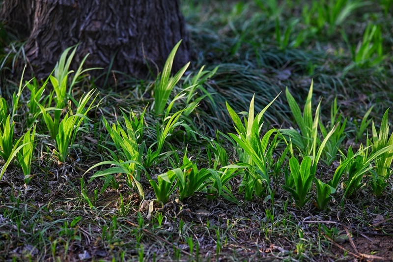 2024-03-31 175055.jpg