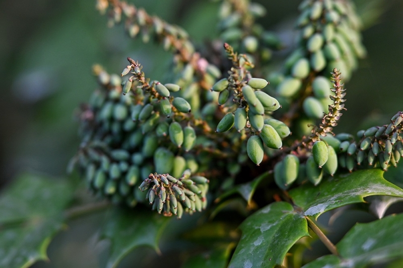 2024-04-01 083709.jpg