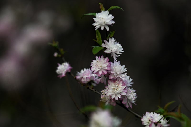 2024-04-01 083715.jpg