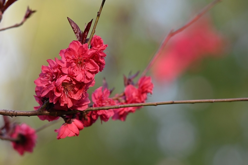 2024-04-01 083720.jpg