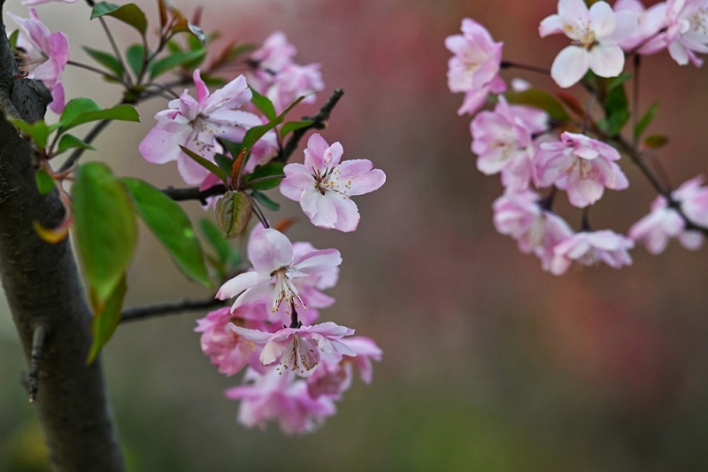 2024-04-01 083722.jpg