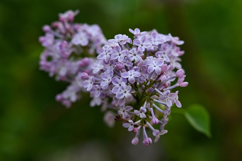 2024-04-01 083712.jpg