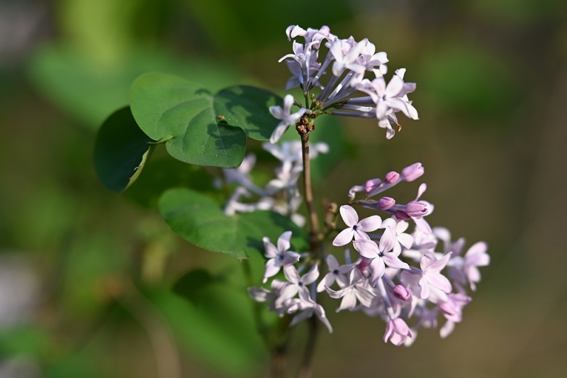 2024-04-01 083717.jpg