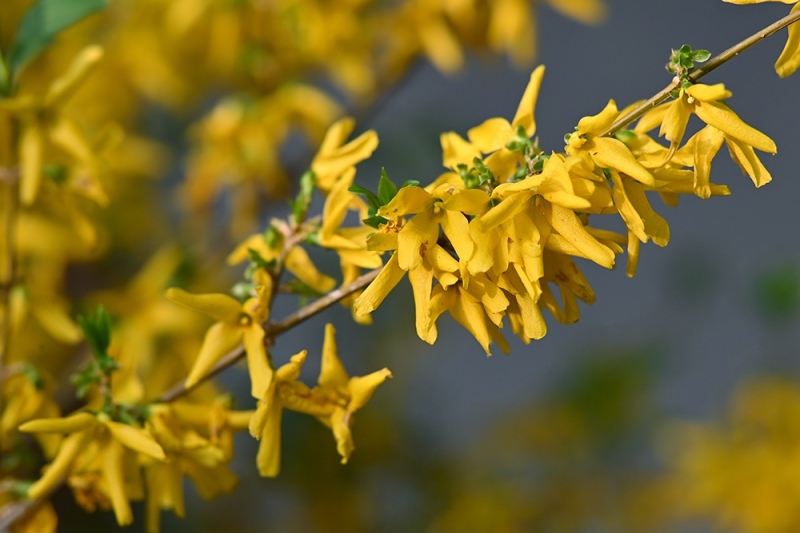 2024-04-01 083729.jpg