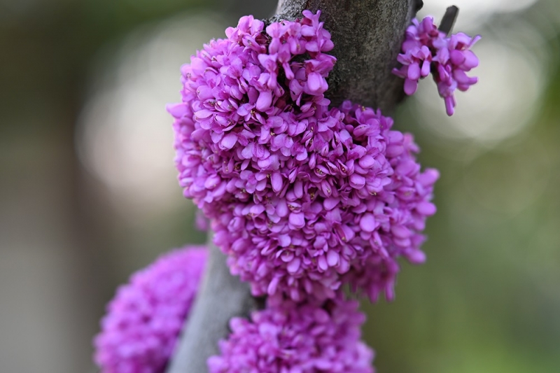 2024-04-01 083725.jpg