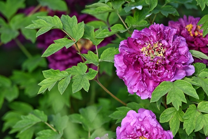 2024-04-01 083727.jpg