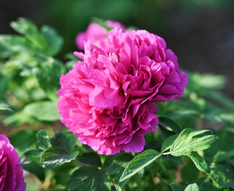 2024-04-08 072904.jpg