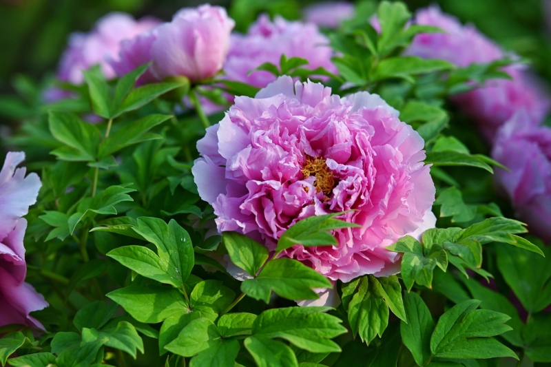 2024-04-08 073449.jpg