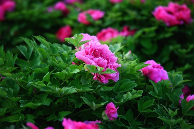 2024-04-08 072747.jpg