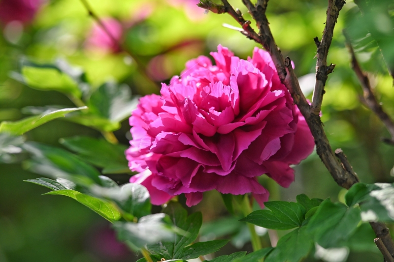 2024-04-08 083001.jpg