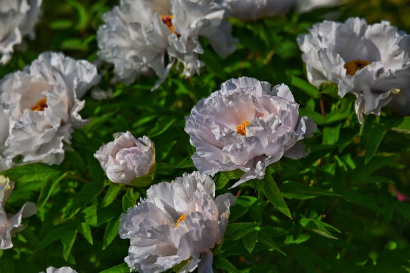 2024-04-08 082618.jpg