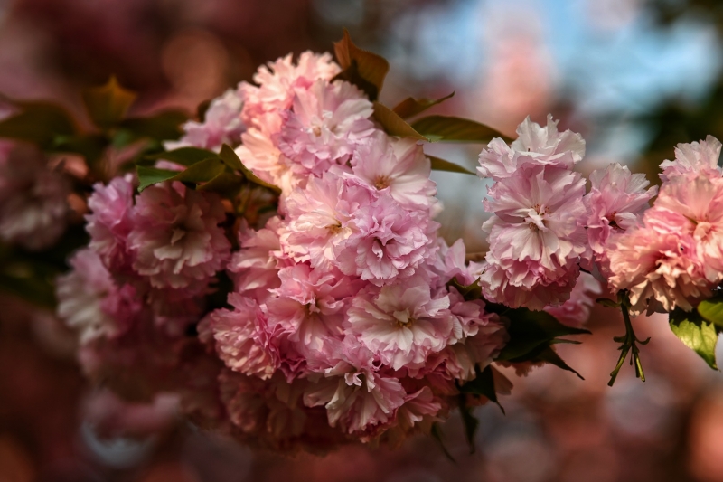 2024-04-08 083219.jpg