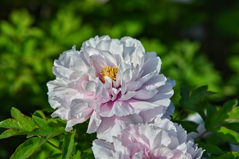 2024-04-08 083410.jpg