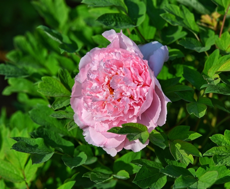 2024-04-08 083431.jpg