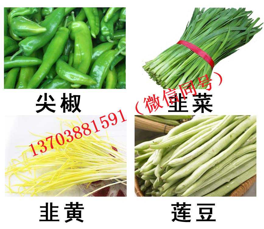 蔬菜集装箱菜品B.jpg