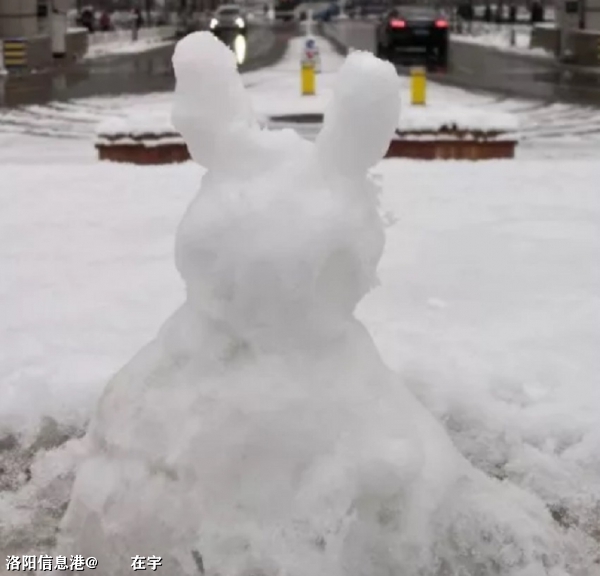 今日小寒，北京堆的雪兔.jpg