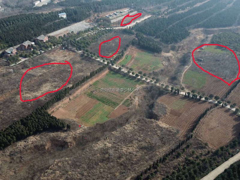 org_bcf599f1c4ea2564_1582337366000 拷贝.jpg