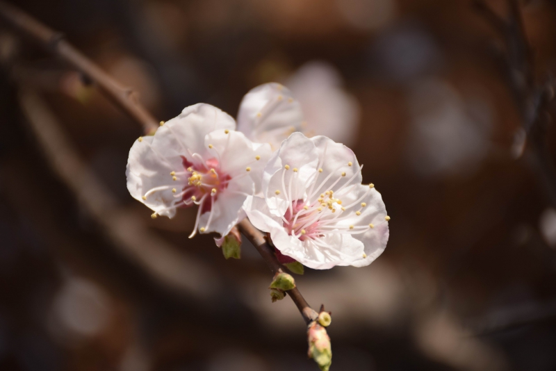 调整大小 DSC_1586.JPG