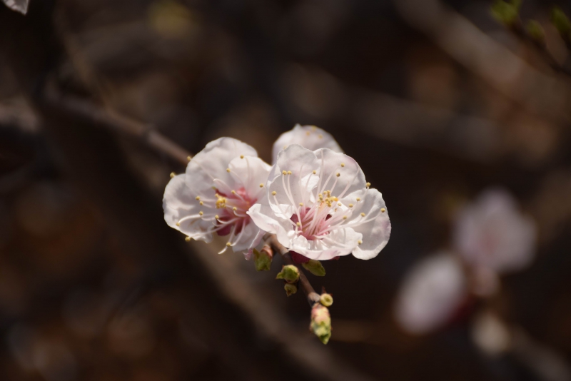 调整大小 DSC_1588.JPG