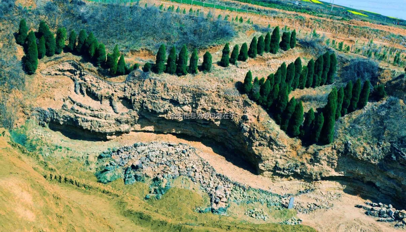 2020年3月17日庚子年春分龍登天时节 天然石龍首_看图王.jpg