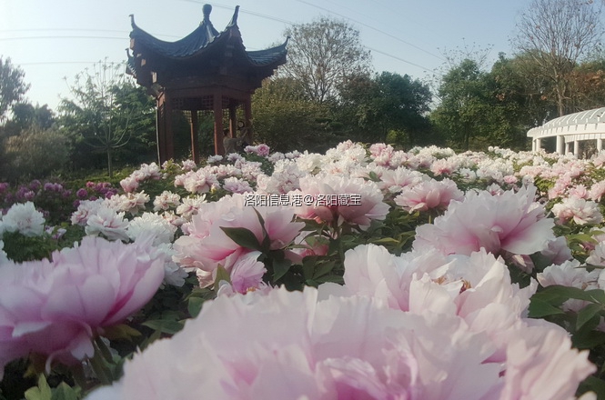 G0 (5)_调整大小_调整大小.jpg