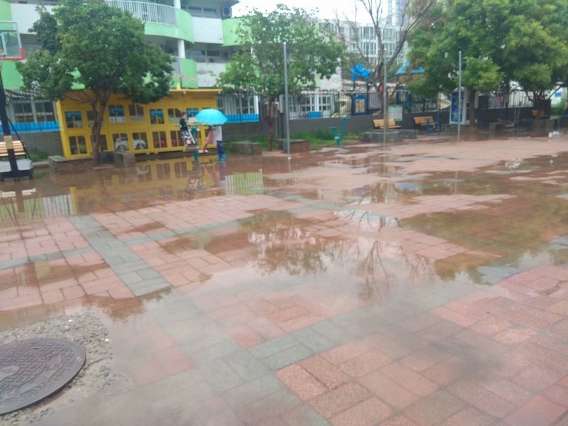 雨后随拍3.jpg