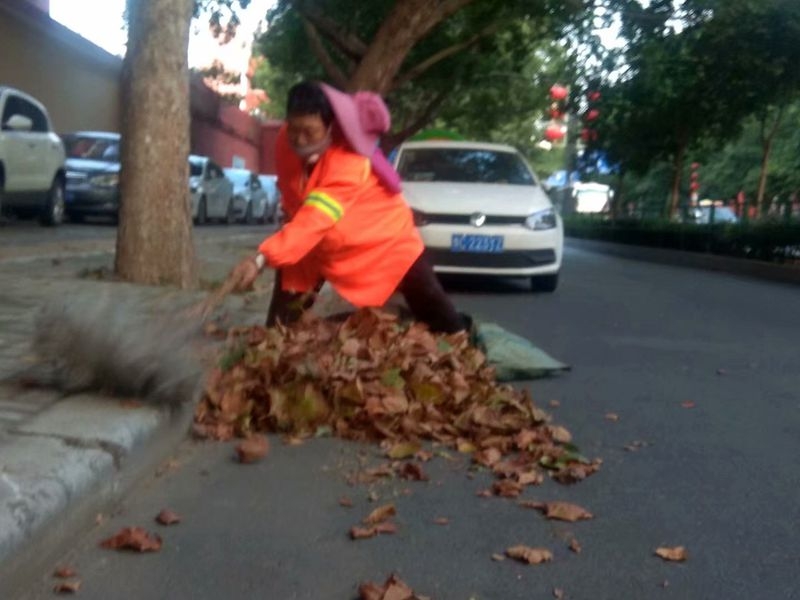 手机晨练随拍：秋风起叶落地，环卫工人清扫忙2.jpg