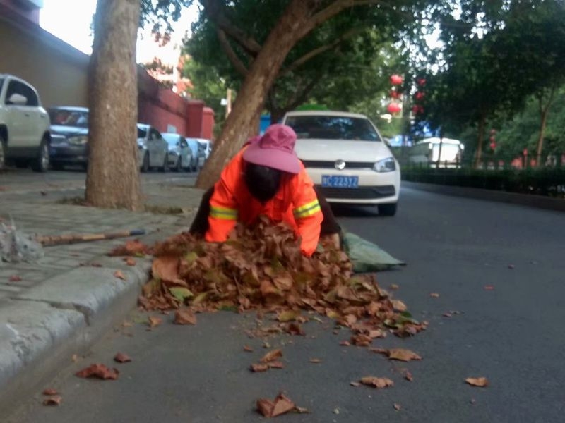 手机晨练随拍：秋风起叶落地，环卫工人清扫忙1.jpg