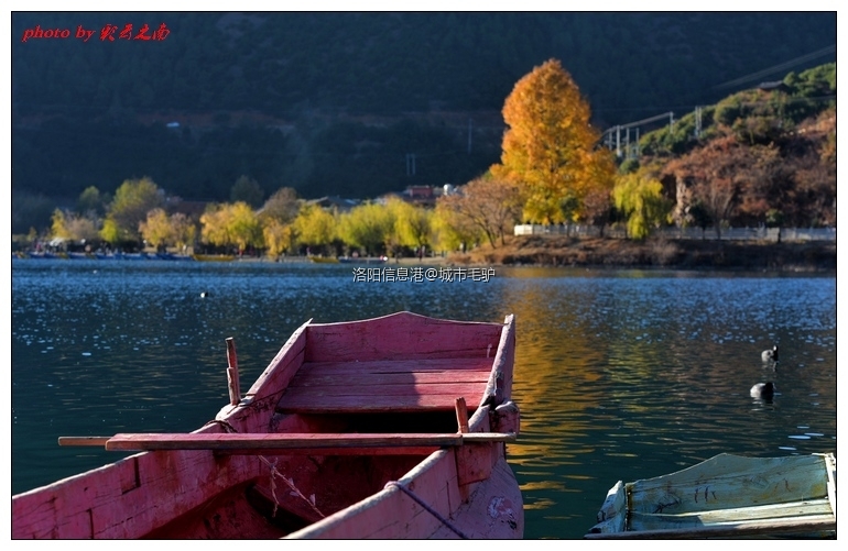 微信图片_20201015164604 - 副本.jpg