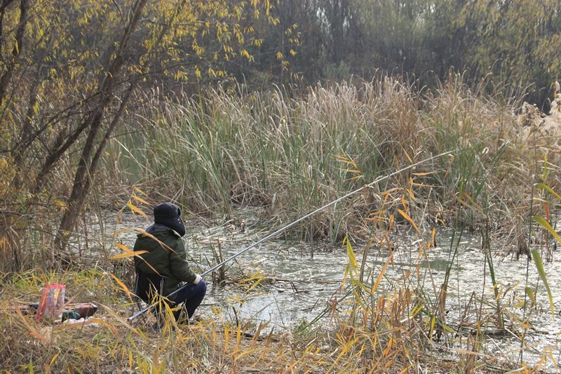 湿地冬钓3.jpg