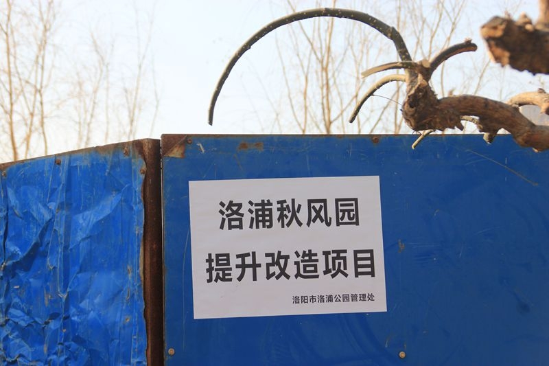 洛浦秋枫园提升改造工程随拍1.jpg