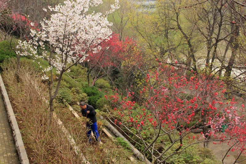 抓拍：王城公园里的护花人8.jpg