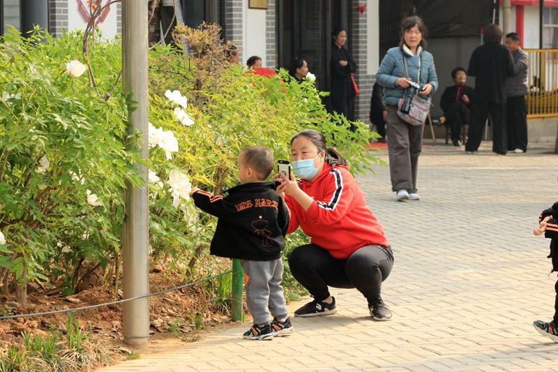 牡丹公园抓拍：妈妈教你认牡丹5.jpg
