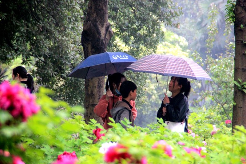 西苑公园随拍：雨中赏花更惬意4.jpg