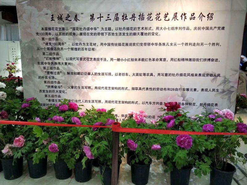 王城公园第十三届牡丹插花展随拍2.jpg