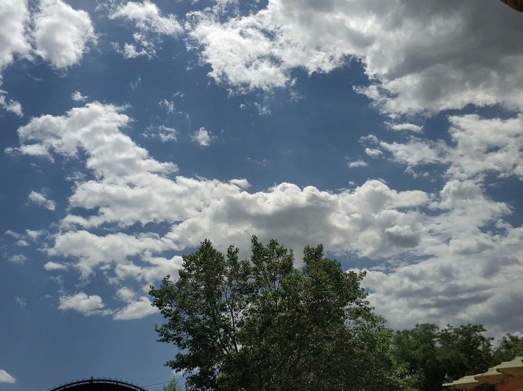 手机拍摄：湛蓝的天空白色的云6.jpg