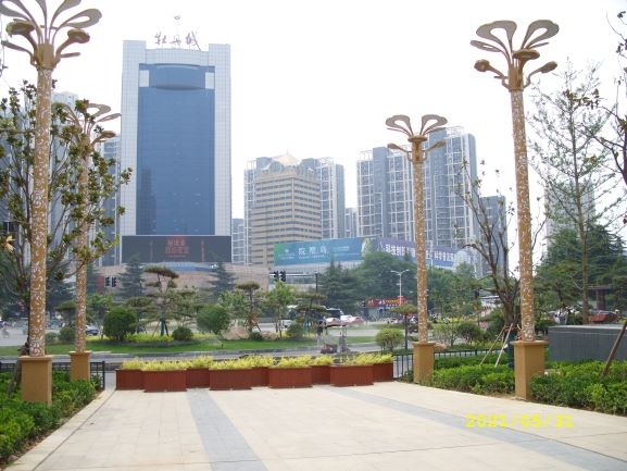 牡丹广场看牡丹城