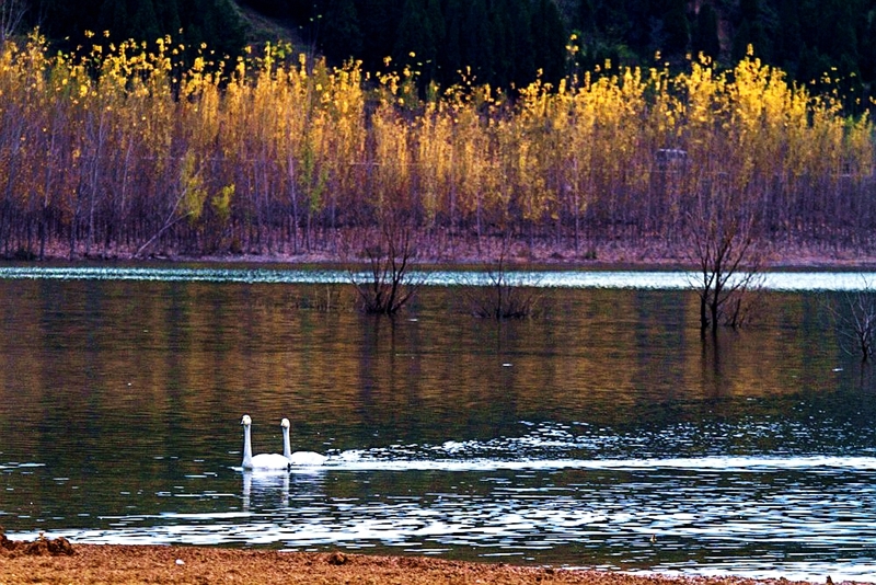 _AMG_9372 - 副本_.jpg