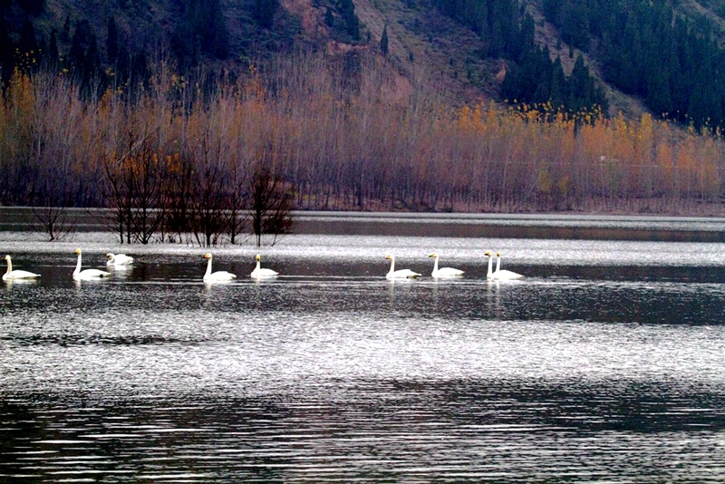 _AMG_9674 - 副本.jpg