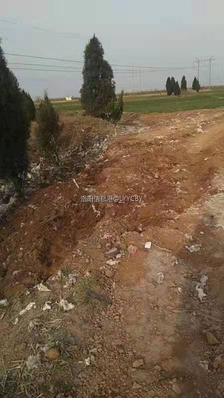 a09d1484f2a1450aae1d8096a85fd43 (1).jpg