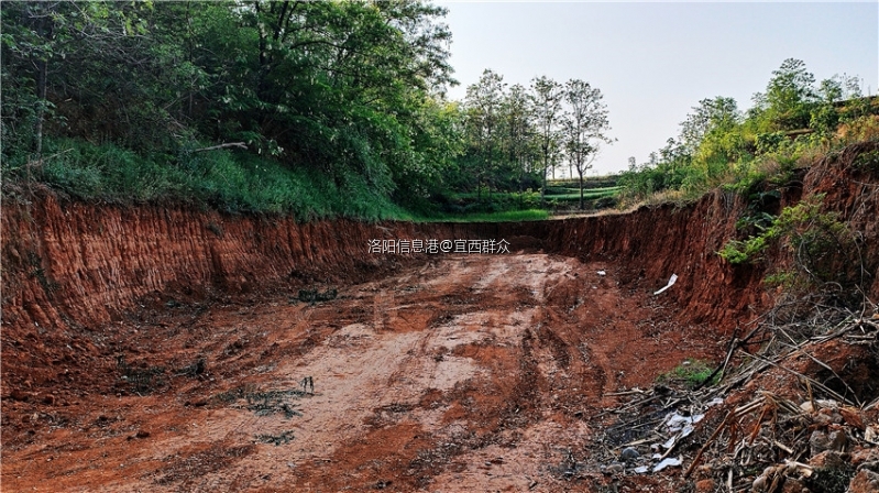 微信图片_20220427093934 - 副本.jpg