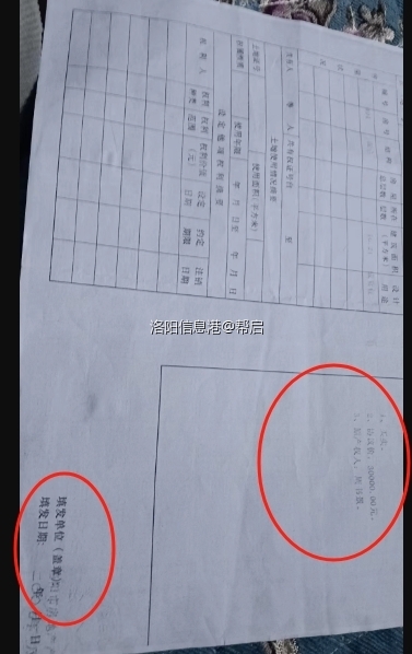 有过户记录和洛阳市