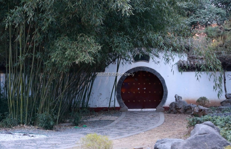 Resize of 24MA0795.JPG