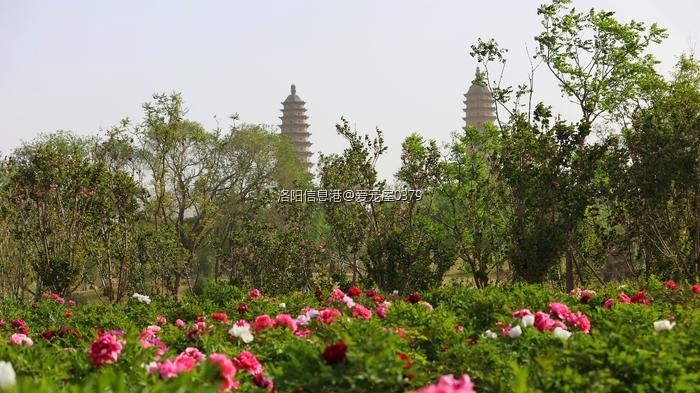 w700d1q75cms (1).jpg