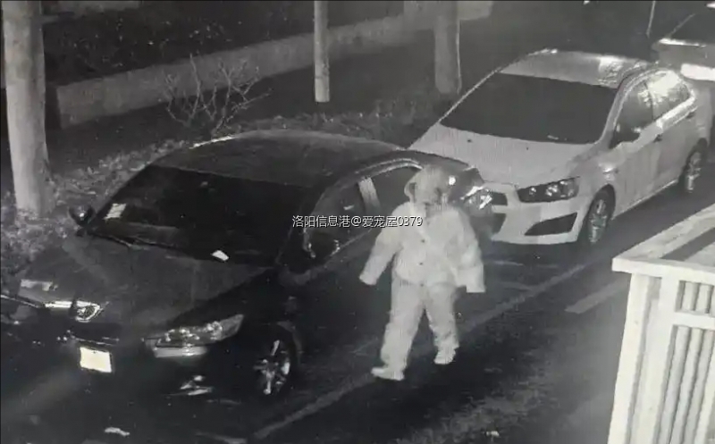 裁剪旋转 (3).jpeg