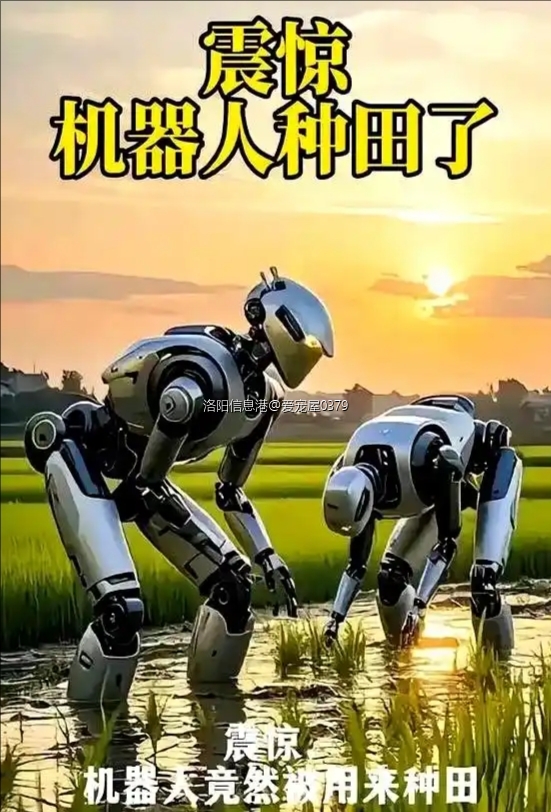 裁剪旋转 (6).jpeg